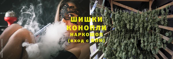 соль ск Липки