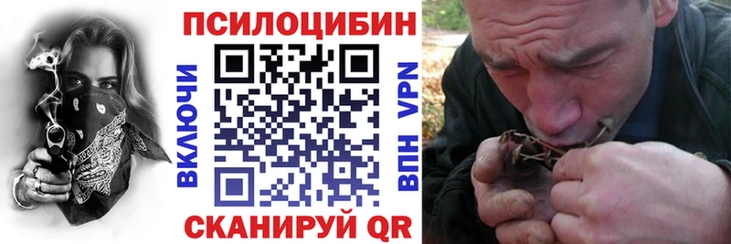 KRAKEN как войти  Чегем  Галлюциногенные грибы мухоморы  купить наркоту 